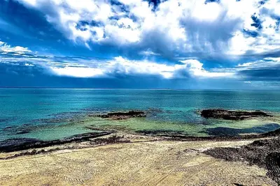 Image de Oleza Garden