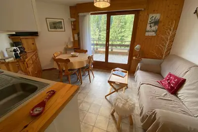 Image de Appartement calme à 900m du centre de Châtel avec terrasse et parking