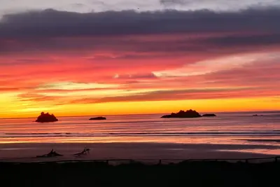 Image de Beachfront Beauty
