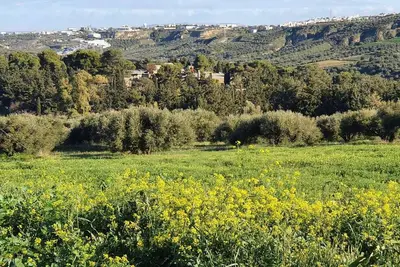 Image de Villa Phyllia, a property with history - fifteen minutes from Iraklion airport.