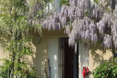 Image de Chambre chez l'habitant, ronron thérapie et calme à volonté. . .