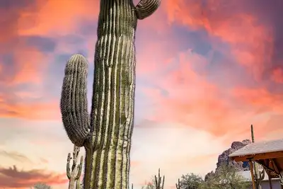 Image de Superstition Mountains at Your Doorstep! Remodeled Bungalow!
