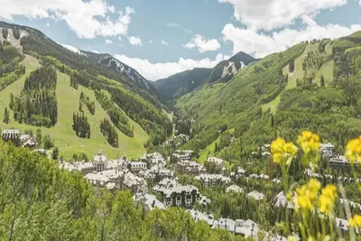 Image de Expansive, luxurious ski-in/out 4br residence in heart of Bc Village w/ pool!
