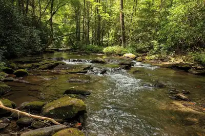 Image de Paradise Found- Cherry Log Ga