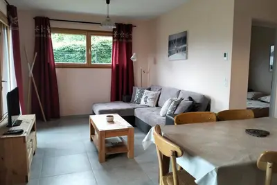 Image de Charmant T3 avec sauna et jardin, Ă 2 pas du centre, parfait pour familles