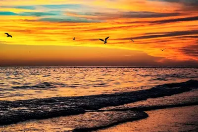 Image de Siesta Key 2 Bed 2 Bath Ground Floor with Gulf Views Steps to the Beach