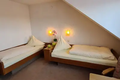 Image de Double room mountain view with 2 single beds - Pension Hauber