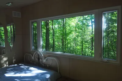 Image de Brand New Dream Den Bunkie for Two with Canoe, River Access, and Scenic Trails\n