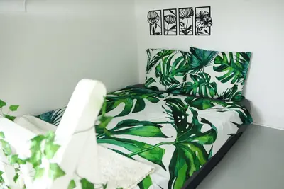 Image de Jungleroom connecté au cœur du Vieux Nice!