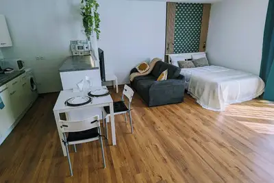 Image de Superbe Studio 45 m² Rénové avec Balcon et Parking Gratuit