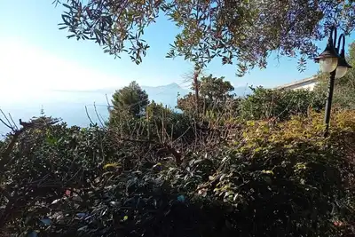 Image de Studio apartment surrounded by greenery in Marina di Maratea