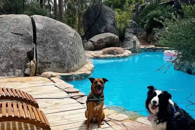 Image de A Paradise for Dogs and a Magical Place for Humans