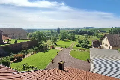L'horizon du vignoble, route des vins