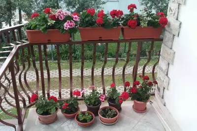 Image de Appartements BoĹľana (103501-A3) - Kastel Luksic