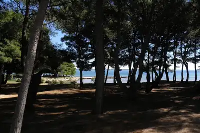 Image de Appartements Vink (10459-A4) - Vir - île de Vir