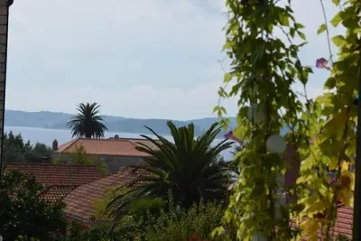 Image de Appartements Dami (105201-A3) - Orebic