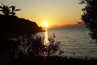 Image de Appartement Elena (10637-A1) - Postira - île de Brac