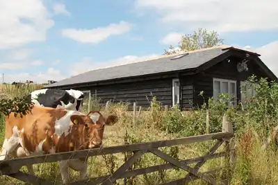 Image de Bull Farm Studios
