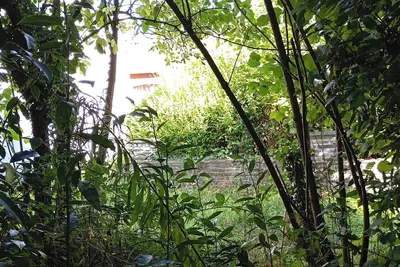 Image de Homerez - Maison spacieuse à Renazé avec terrasse