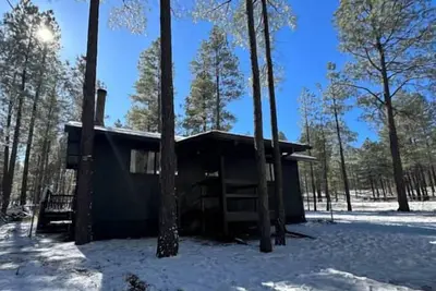 Black Cabin Rentals, Timberline Hideaway