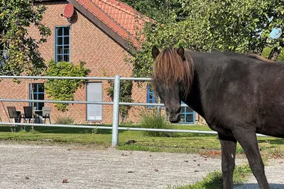 Image de Vacation apartment Vidja - Holidays on the Icelandic horse farm for up to 4 people