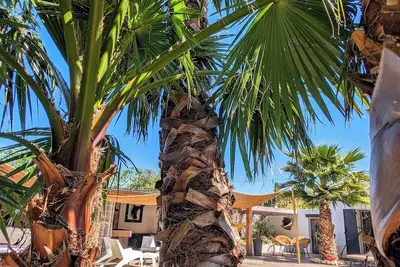 Image de Maison \"L'Olivette\" jacuzzi, piscine chauffée, billard, baby foot, à 7KM de Nîmes