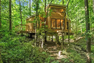 Image de Treehouse in Ionia Michigan