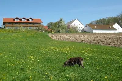 Image de Comfortable Apartments in Rotthalmunster