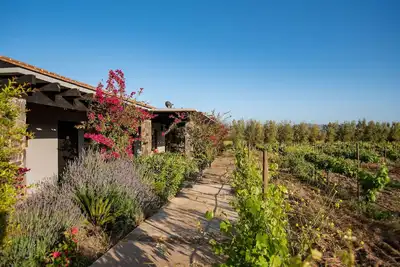 Image de Atika Retreat - Vinyard Villa
