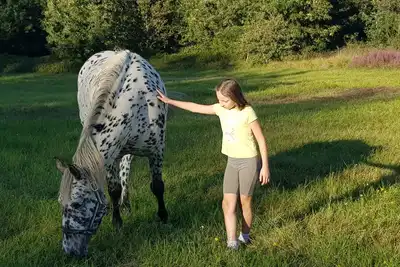 Image de *Evadez-vous en plein coeur du Périgord! *\n Gite à la ferme