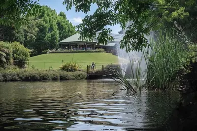 Image de Tranquil Mountain Escape Tamborine Mountain