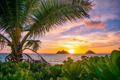 Image de Hale Alapi'i Lanikai Getaway by Gather: Newly Renovated Near Beach & Hiking