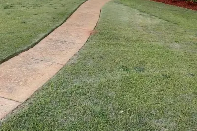 Image de 4. 4 miles to the Bryant-Denny Stadium