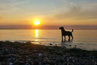 Image de New vacation apartment Deichkind between Büsum and St. Peter-Ording with balcony