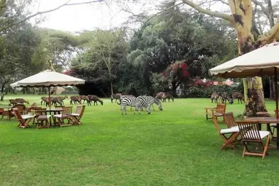 Image de Three Ultimate Getaway Room for Animal Lovers, with Scenic Outdoor Patio