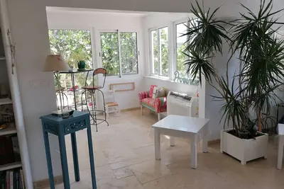 Image de Un figuier et une jolie maison. . .