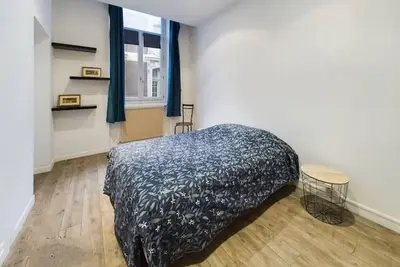 Image de Spacieux appartement - place Capitole