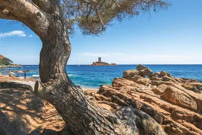 Image de Studio entièrement rénové de 35 m2 à 2 minutes de la plage.