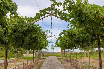 Image de Parvada Winery Townhouse 4br