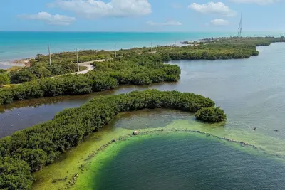 Image de Charming 3-bedroom house with WiFi, Ac in tranquil Summerland Key