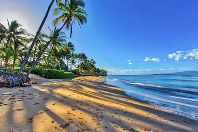 Image de Spacious, Great Location. Close to Beaches! \n\n- 1 bedroom condo - Pool, WiFi, Ac!