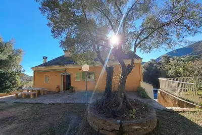Image de Appartement haut de villa.