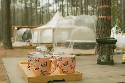 Image de Mystic Woods, Ultimate Glamping 3 Tents, Sauna, 2 hot tub, & 3 firepits