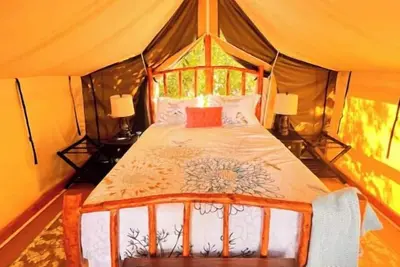 Image de Magical Redwood Retreat in the Santa Cruz Mountains: Luxury Tree Fort Stay\n\n