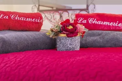 Image de ღ ChARMERIE • Duplex climatisée 5min du Vieux Port