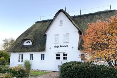 Image de Vacation with dog incl. swimming pool and sauna