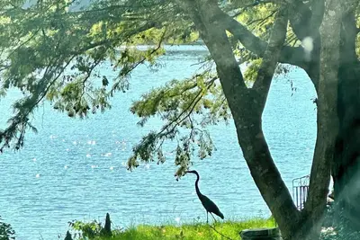Image de Serene Lakeside Getaway: Cozy Cabin on Harris Brake Lake, Arkansas