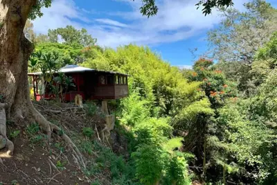 Image de Romantic waterfall cabin in the rain forest