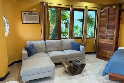 Image de Jungle Meets Modern Studio on Quinta Avenida