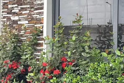 Image de Electic African cozy apartment - 33 minutes from the city